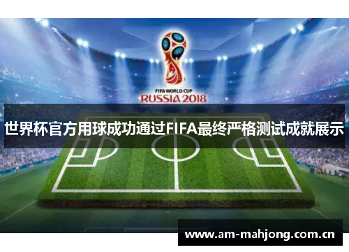 世界杯官方用球成功通过FIFA最终严格测试成就展示 世界杯官方用球成功通过FIFA最终严格测试成就展示